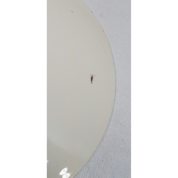 3 Edwin Knowles China Blue Bells Saucers - Picture 5 of 12